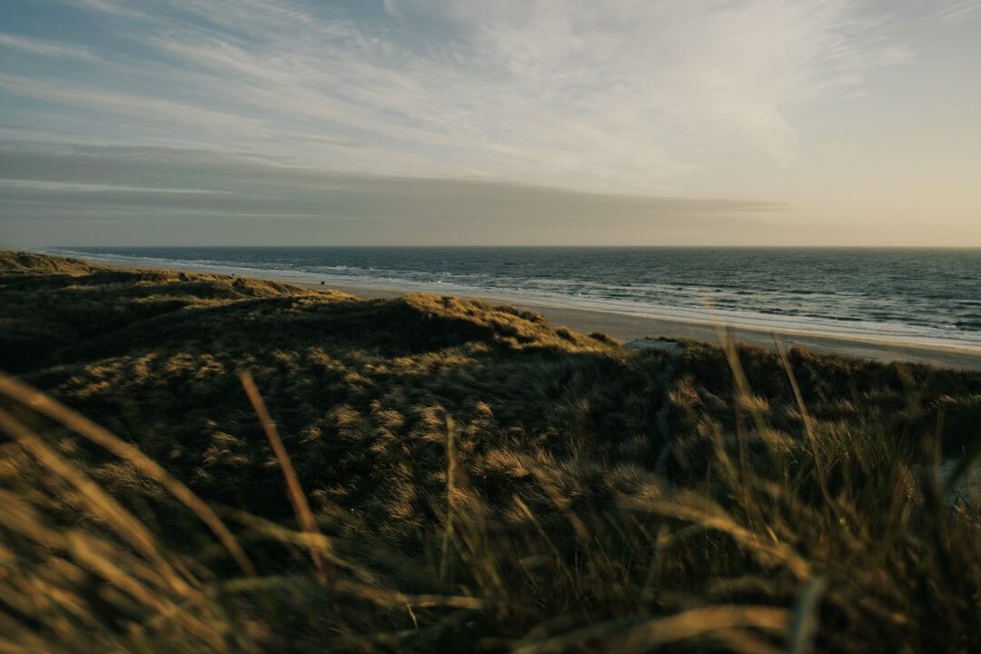autumn light in denmark