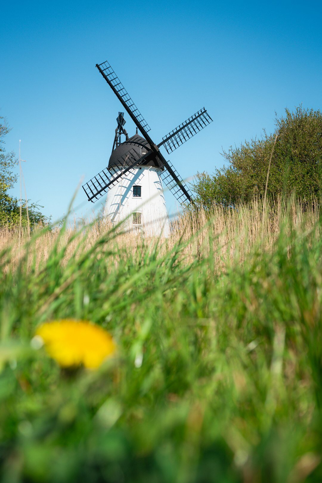 danish countryside landscape